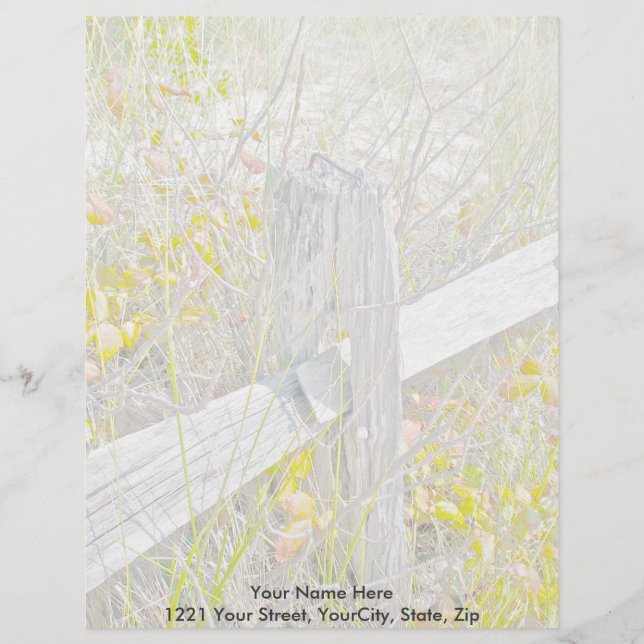 Lettre À En-tête En-tête IBSP pour clôture et poison Ivy (Devant)