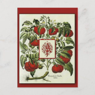 Lettre A Monogramme sur Cartes d'Art de Tomate Vin