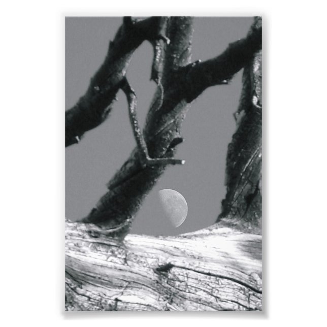 LETTRE Alphabet Photographie M7 noir et blanc 4x6 (Devant)