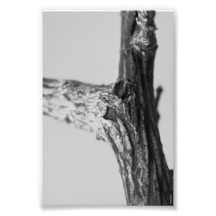 Lettre alphabet Photographie Y8 Noir et blanc 4x6