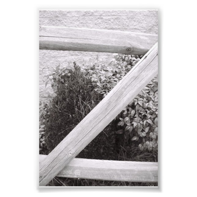 LETTRE Alphabet Photographie Z2 noir et blanc 4x6 (Devant)