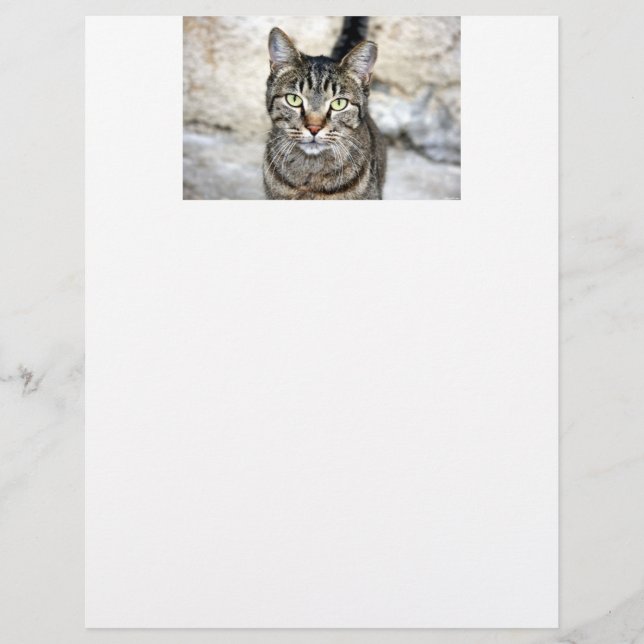 LETTRE CHAT égyptienne Tête (Devant)