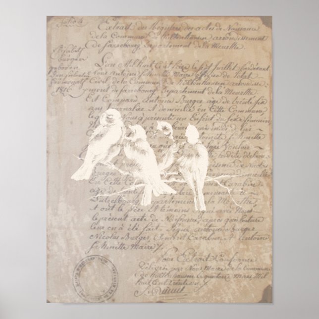 Lettre vintage et affiche d'oiseaux (Devant)