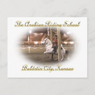 Levade avec cavalier, Carte postale