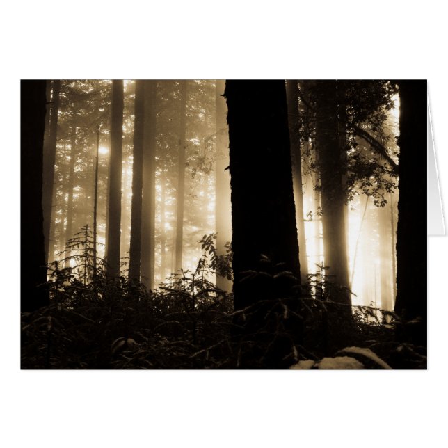 Levée de soleil (Devant Horizontal)