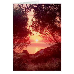 Lever de soleil sur la mer encadré par des arbres