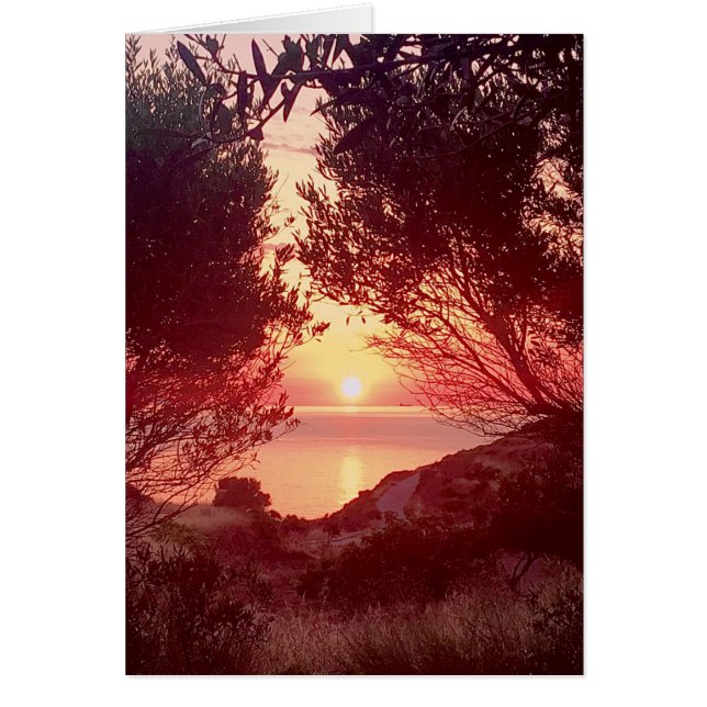 Lever de soleil sur la mer encadré par des arbres (Devant)
