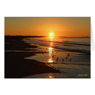 Lever du soleil sur la plage de Horseneck