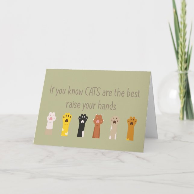 Levez Les Mains Les Chats Sont La Meilleure Carte  (Devant)