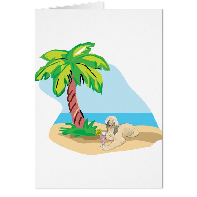 Lévrier afghan tropical (Devant)