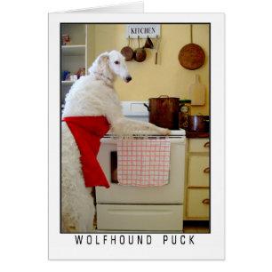 Lévrier russe Borzoi "Lévrier Puck" Chien
