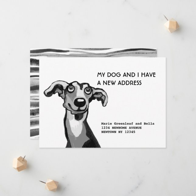 Lévrier whippet et moi avons déménagé, Carte d'ann (Devant/Arrière en situation)