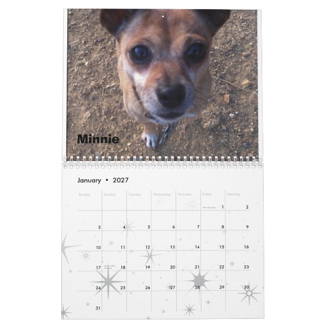 Lexi 2013 et calendrier de chien d'amis (Jan 2027)