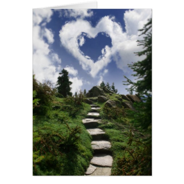 L'extrémité de la traînée (Devant)