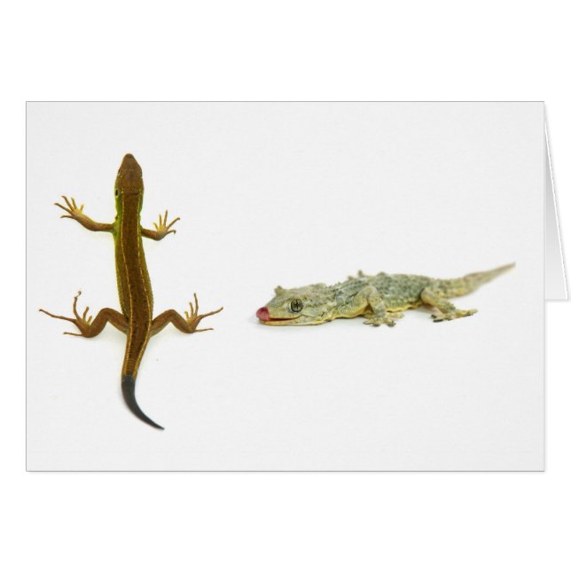 lézard (Devant horizontal)
