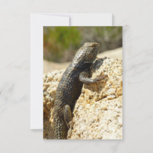 Lézard épineux à dos jaune à Joshua Tree