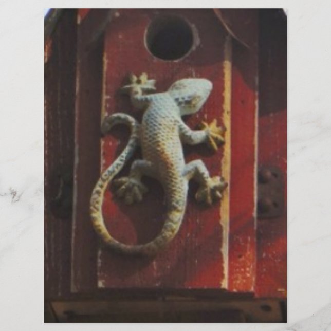 lézard gris sur bois usé (Devant)
