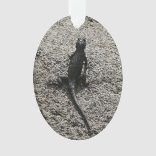 Lézard noir