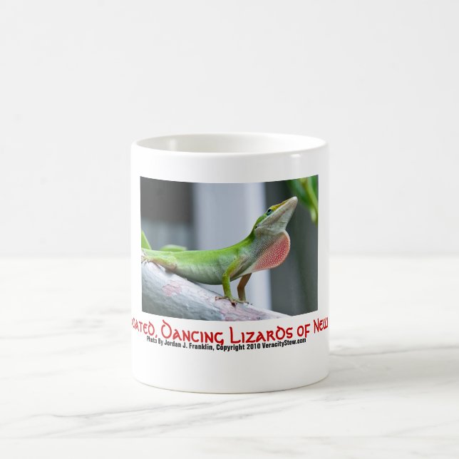 Lézards Rouge-Throated et dansants de tasse de la (Centre)