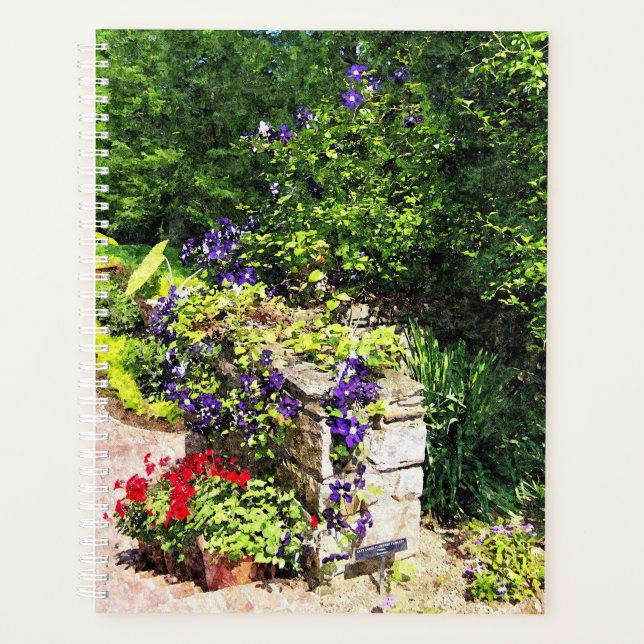 Lg Planner - Clematis violet sur le mur (Devant)