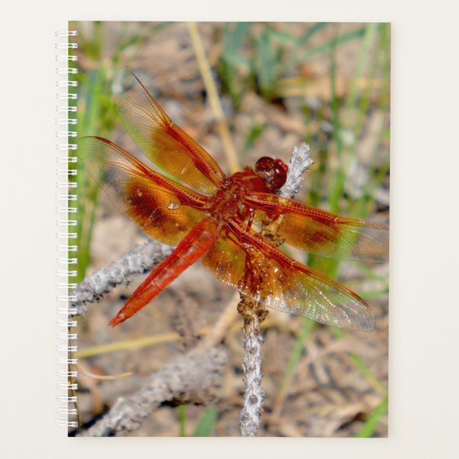 Lg Planner Orange Dragonfly (Devant)