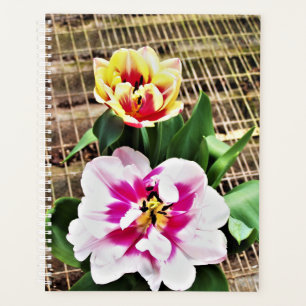 Lg Planner Tulipes rose/Jaune