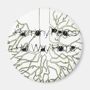 L'harmonie règne, mi-chemin Magnets à la maison