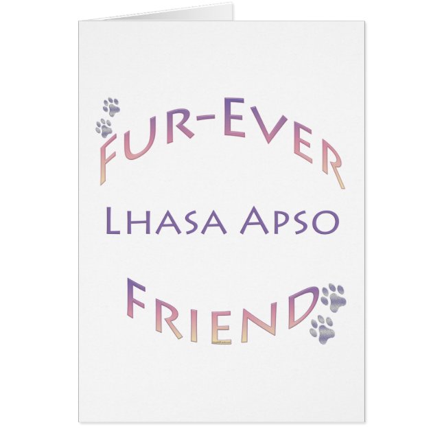 Lhasa Apso Furever (Devant)