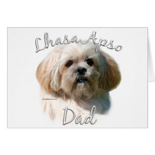 Lhasa Apso Papa 2