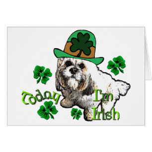 Lhasa Apso St patrick