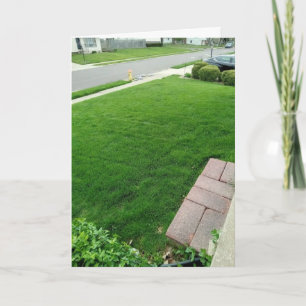 L'herbe est la CARTE verte