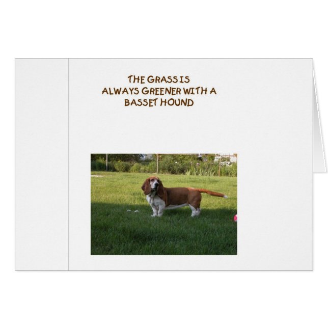 L'HERBE EST PLUS VERTE AVEC BASSET HOUND (Devant Horizontal)