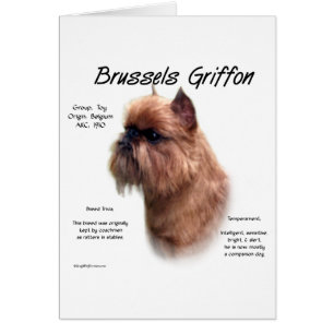 L'histoire bruyante du Griffon de Bruxelles
