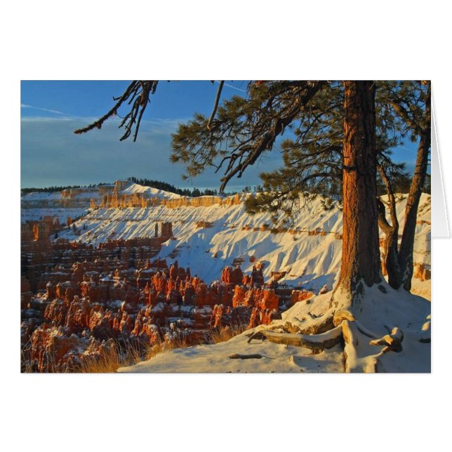 L'Hiver À Bryce Canyon (Devant Horizontal)