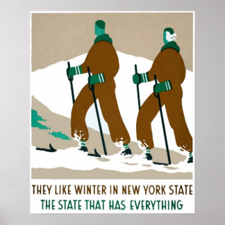 L'hiver à New York State Travel Poster