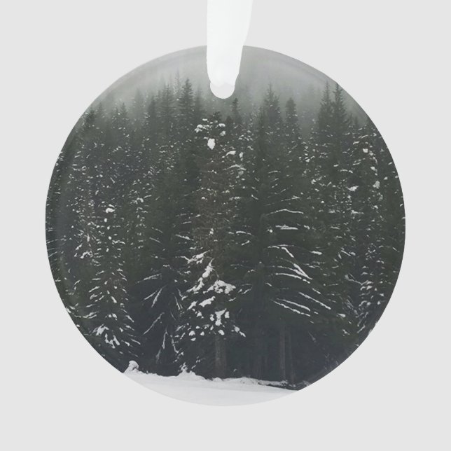 L'hiver dans la forêt de montagne (devant)