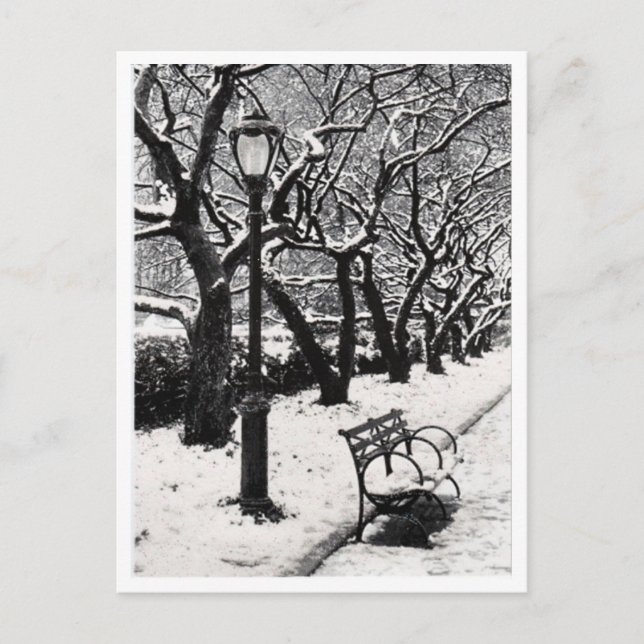 L'hiver dans le parc - Carte postale (Devant)