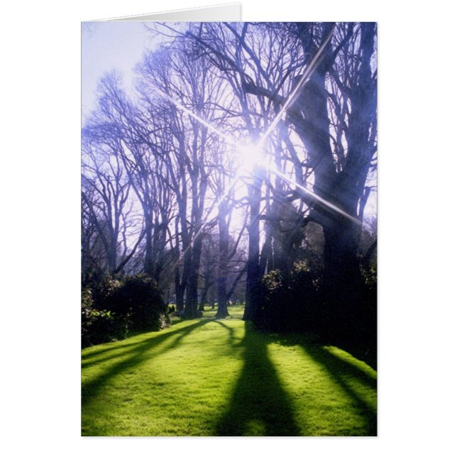 L'hiver dans les jardins Fitzroy (Devant)