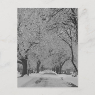 L'Hiver En Nebraska Carte Postale