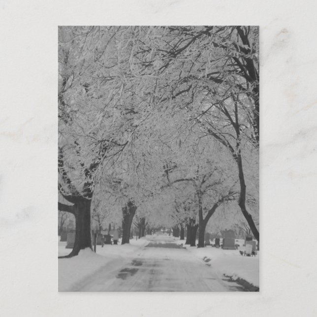 L'Hiver En Nebraska Carte Postale (Devant)