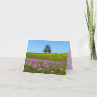 L'horizon solitaire d'arbre fleurit la carte