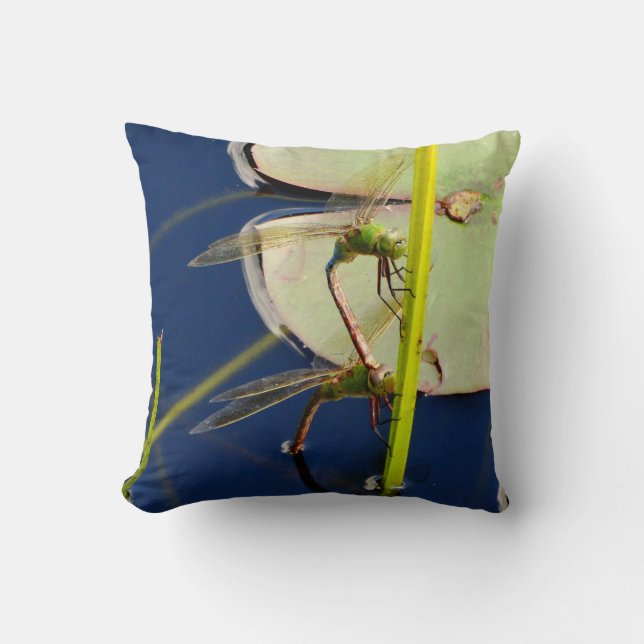 libellule Coussin bleue, yeux verts (Recto)
