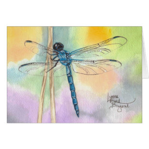 Libellule d'arc-en-ciel