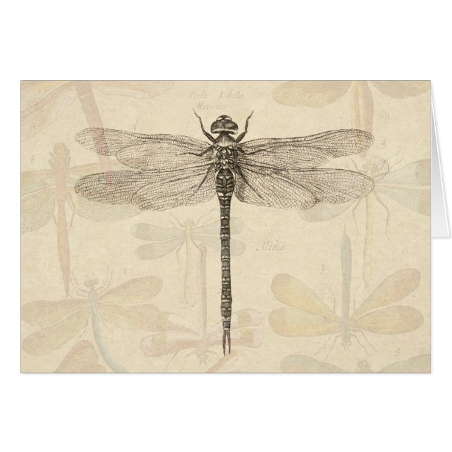 Libellule Vintage Antique Classique Nature (Devant horizontal)