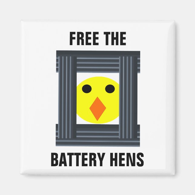 Libérez Le Magnet Des Poulies De La Batterie (Devant)