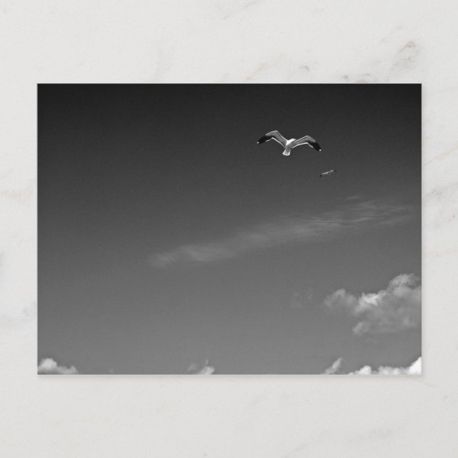 Liberté dans la carte postale BW (Devant)