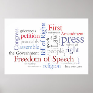 Liberté d'Expression ! Grande affiche de la Déclar