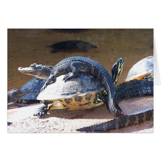 Libre (Devant horizontal)