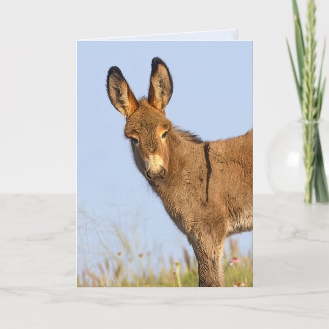 "Libre de se promener" - Carte de vœux (Devant)