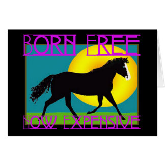 Libre né - maintenant cher